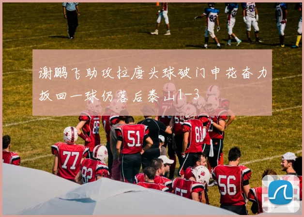 谢鹏飞助攻拉唐头球破门申花奋力扳回一球仍落后泰山1-3